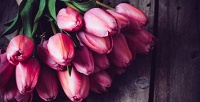 Розы, тюльпаны и альстромерии различных цветов с бесплатной доставкой в компании Rick Rose. <b>Скидка до 58%</b>