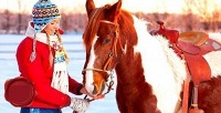 Конная зимняя прогулка для одного или двоих в конно-спортивном клубе «Гвардия». <b>Скидка до 71%</b>