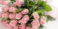 Дизайнерские шляпные коробки и букеты из роз, тюльпанов, гвоздик в компании Rozantin. <b>Скидка 50%</b>