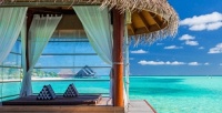 Тур на Мальдивы с проживанием в отеле Ellaidhoo Maldives by Cinnamon 4* в июле и августе со скидкой 30%