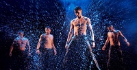 Билет на шоу под дождём 4 «Мужчина vs Женщина» в КЗ «Измайлово» от театра танца «Искушение» (800 руб. вместо 1600 руб.)