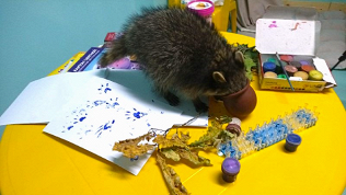 <b>Скидка до 60%.</b> Творческий мастер-класс по рисованию или созданию декора для детей и взрослых от антикафе «Пушистое счастье»