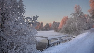 <b>Скидка 50%.</b> Тур на 1 день в Карелию «Водопады, уха, хаски, „Гора Филина“» от туроператора Karelia-Line (2450 руб. вместо 4900 руб.)