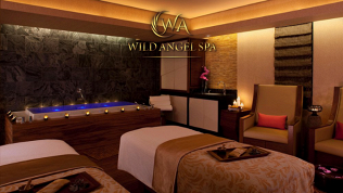 <b>Скидка до 58%.</b> До 7 сеансов массажа в сети SPA-салонов Wild Angel SPA