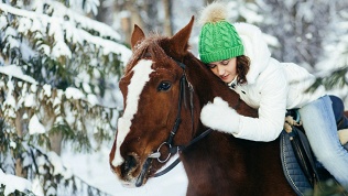 <b>Скидка до 54%.</b> Конная прогулка для детей и взрослых, романтическая прогулка на лошадях, прогулка для начинающих всадников в сопровождении коновода от семейного конного клуба «Тандем»