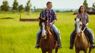 <b>Скидка до 65%.</b> 1 или 2 часа конной прогулки от частной конюшни «Эквилого»