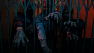 Участие в квесте «Заражение» от квест-проекта «Территория квестов» (2000 руб. вместо 4000 руб.)