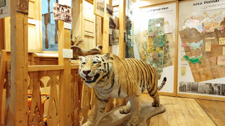 <b>Скидка 20%.</b> Билет на посещение «Российского музея леса» (320 руб. вместо 400 руб.)