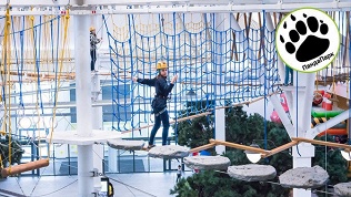 <b>Скидка 50%.</b> Посещение веревочного парка «Панда парк „Зеленопарк“» (3000 руб. вместо 6000 руб.)