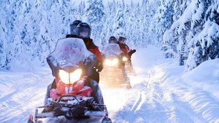 <b>Скидка до 50%.</b> 60 минут прогулки на снегоходе от экопарка DreamHouse Village