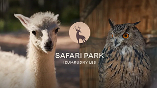 <b>Скидка до 30%.</b> Билет в сафари-парк с экскурсионной программой от экоотеля «Изумрудный лес»
