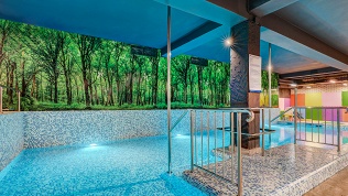 <b>Скидка до 20%.</b> Посещение банного комплекса, бассейнов, джакузи в акватермальном комплексе «Термопарк» со скидкой 20%