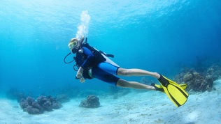 <b>Скидка 30%.</b> Погружение с аквалангом от дайвинг-клуба «Морские волки» (2800 руб. вместо 4000 руб.)