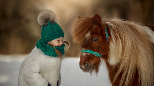 <b>Скидка до 51%.</b> Прогулка верхом на лошади или пони либо романтическая конная прогулка от конного клуба «Красный бор»