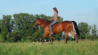 <b>Скидка до 51%.</b> Прогулка верхом на лошади или пони либо романтическая конная прогулка от конного клуба «Красный бор»