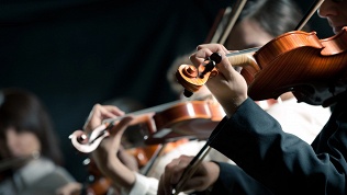 <b>Скидка до 30%.</b> Билет на концерт «Волшебный мир Уолта Диснея» в кафедральном соборе Святых Петра и Павла от компании Collegium Musicum со скидкой 30%