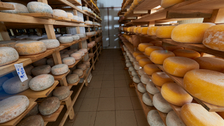 <b>Скидка 15%.</b> Билет на загородную экскурсию «Конаково – царство царь-рыбы и родина сыра» от компании «Московиты» (4675 руб. вместо 5500 руб.)