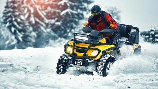 <b>Скидка до 50%.</b> Заезд на квадроцикле по маршруту «Лесная прогулка» или «Бездорожье» от компании Kvadrprokat