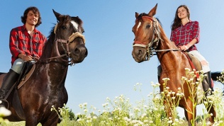 <b>Скидка до 51%.</b> Конная прогулка верхом на лошади по сосновому бору или посещение занятий по верховой езде от конного клуба Escada