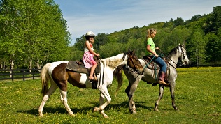 Конная прогулка или прогулка на пони в конюшне «Гвардия»