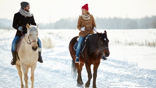 <b>Скидка до 65%.</b> Романтическая прогулка для двоих, конная прогулка или прогулка на пони в конюшне «Гвардия»