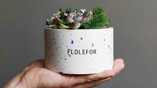 <b>Скидка до 63%.</b> Мастер-класс по созданию флорариумов и цветочных композиций от компании Flolefor