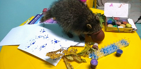 Творческий мастер-класс для детей и взрослых от антикафе «Пушистое счастье»