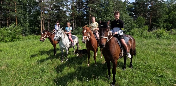 Конная прогулка от «Семейного конного клуба Кожевниковых»