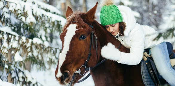 Конные прогулки от семейного конноспортивного клуба «Тандем»