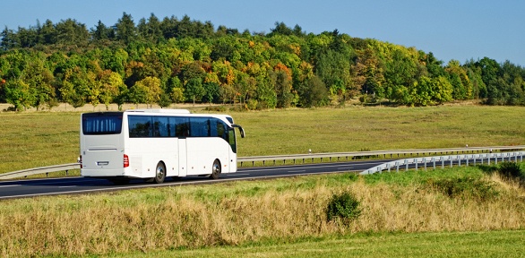 <b>Скидка 15%.</b> Двухдневный автобусный тур «Здесь притаилось чудо. От тульского Бали к русской Швейцарии» от туроператора «Магазин путешествий» (19 414 руб. вместо 22 840 руб.)