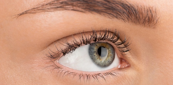 Окрашивание и ламинирование ресниц и бровей в студии красоты Annibrows