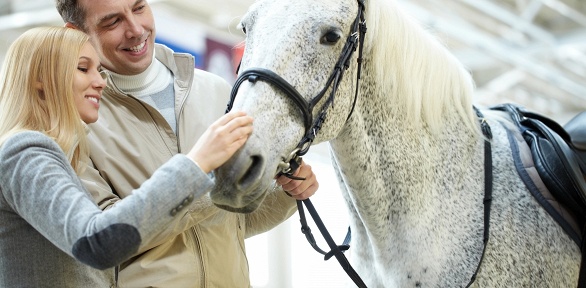 Конная прогулка для взрослых и прогулка на пони для детей в клубе «Стелла»