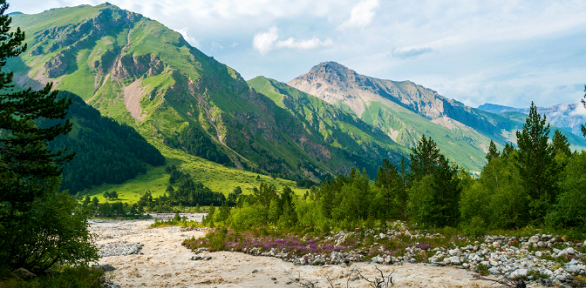 Тур с питанием «Термальные источники в Адыгее» от компании «База земля»