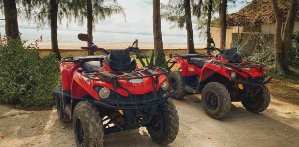 30, 60 или 120 минут катания на квадроцикле от компании KvadroPlace