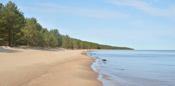 Экскурсия «Куршская коса, Зеленоградск» от компании «Янтарный Кенигсберг»