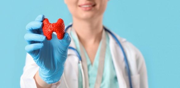 Эндокринологическое обследование у к.м.н. в клинике Valentian Clinic