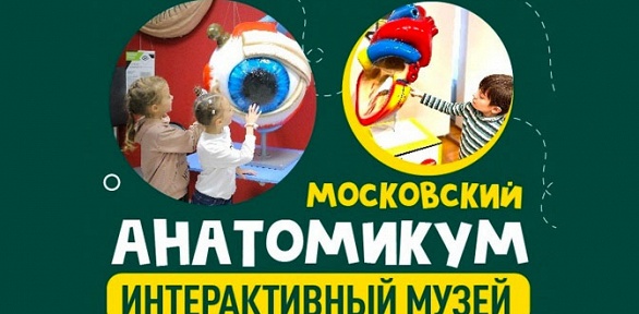 Посещение интерактивного музея тела «Московский Анатомикум»