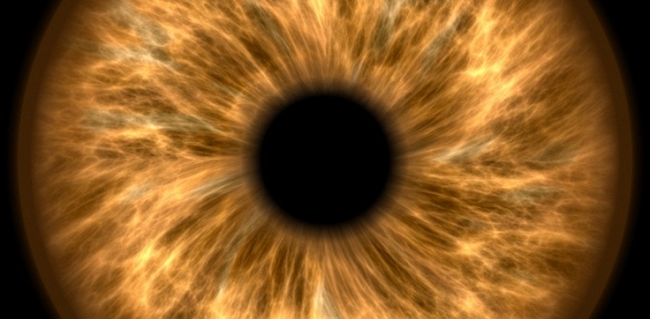 Фотографии радужек глаз в рамке