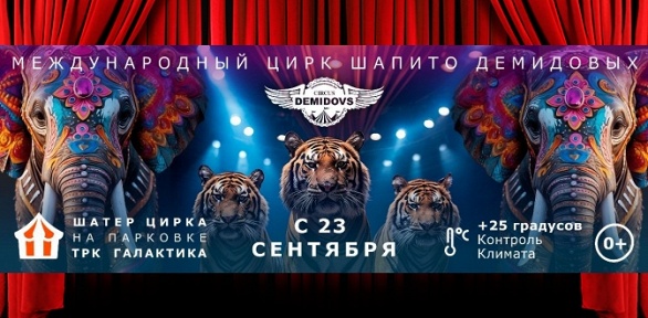 Билет на международную цирковую программу «Слоны и киски» под куполом современного цирка шапито «Цирк Демидовых» со скидкой 50%