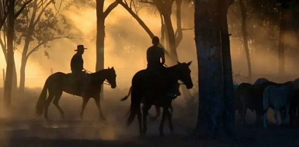 Мультиактивный тур «Кавказские зарисовки» с проживанием и 3-разовым питанием от академии горного туризма «Магтур» (46 200 руб. вместо 66 000 руб.)