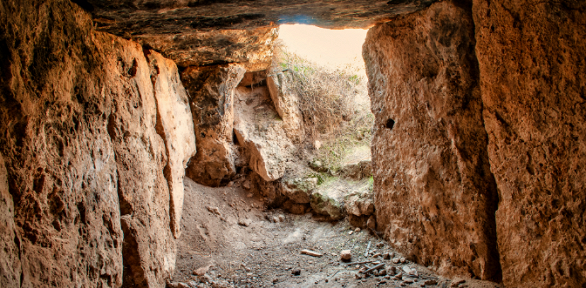 Тур выходного дня «Тайны побережья» 7 февраля от агентства «След в след»