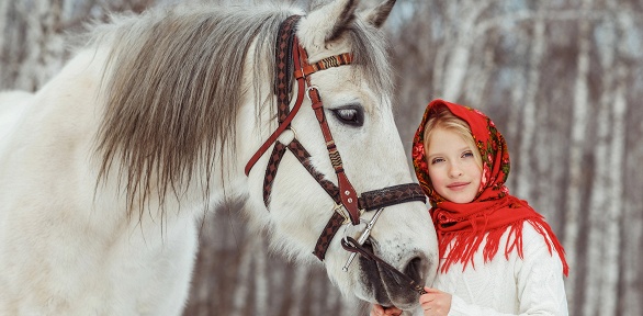 Конная прогулка от конного двора «Хутор»