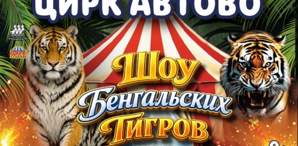 Билет на «Шоу бенгальских тигров» от компании «Цирк в Автово»