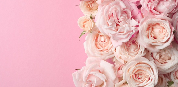 Букеты из роз, гипсофил, ромашек, протей, хризантем или гортензий