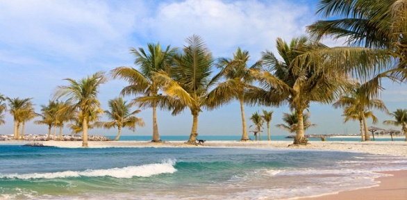 Тур в ОАЭ, Шарджу в июле и августе с проживанием в отеле Coral Beach Resort 4* со скидкой 30%