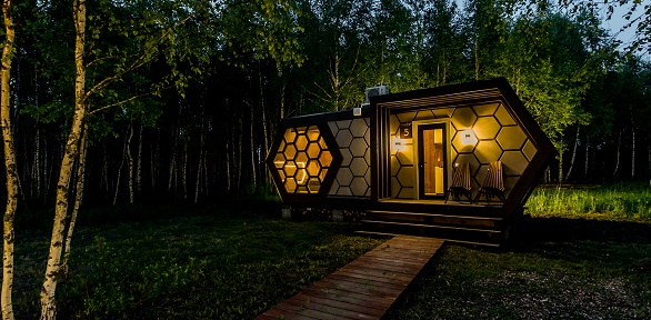 Экоотдых с баней, чаном и завтраком в сосновом бору в глэмпинге Honey Day