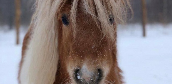 Посещение экофермы «Тишь да Крышь»