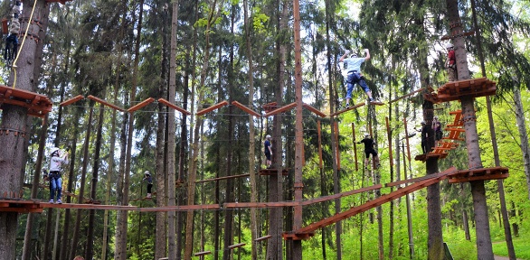 Посещение в Репино веревочного парка Tree To Tree