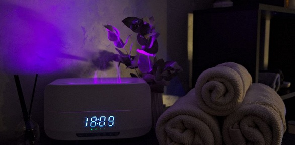 СПА-программы от мастера Дарьи Поляковой