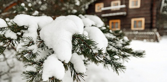 Новогодний отдых с развлекательной программой в экоотеле «Киногородок»